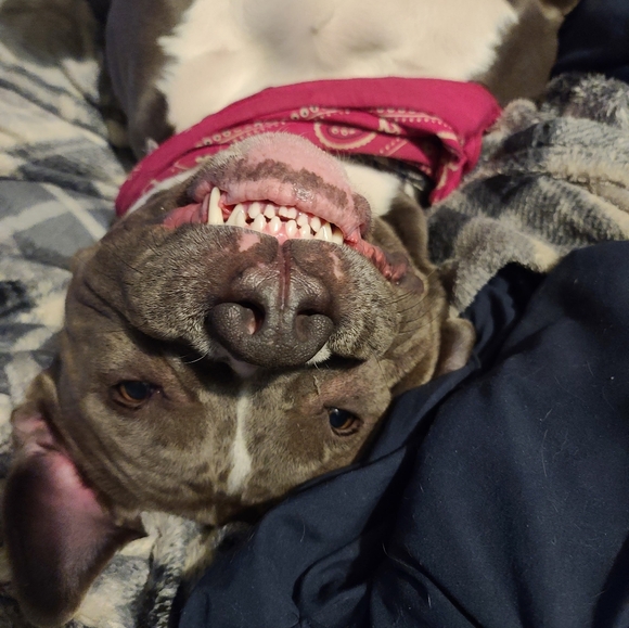 Meet your Posher, Sheri - Picture 13 of 16